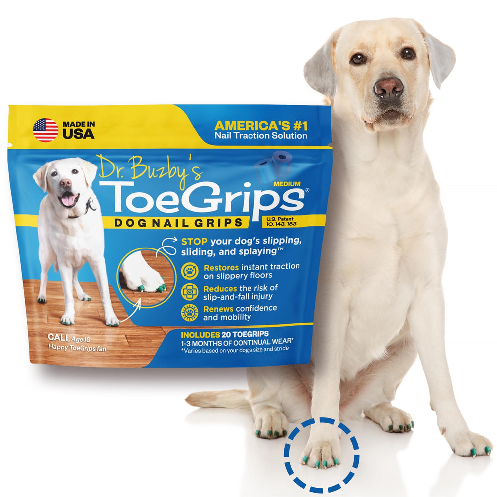 Dr Buzby's ToeGrips on floor show instant traction for dogs.
