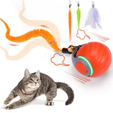 Dr. Fluffyyes interactive ball motion-activated play keeps cats engaged.