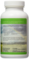 Dr. Goodpet digestive enzymes powder scoop image showing probiotics and prebiotics blend for gut health