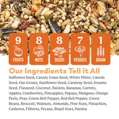 Pouring Dr. Harvey's Colossal Cockatiel Blend into a bowl supports natural foraging.