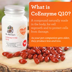 Close-up of Dr. Harvey's Coenzyme Q10 label emphasizing USA-made, preservative-free formula.