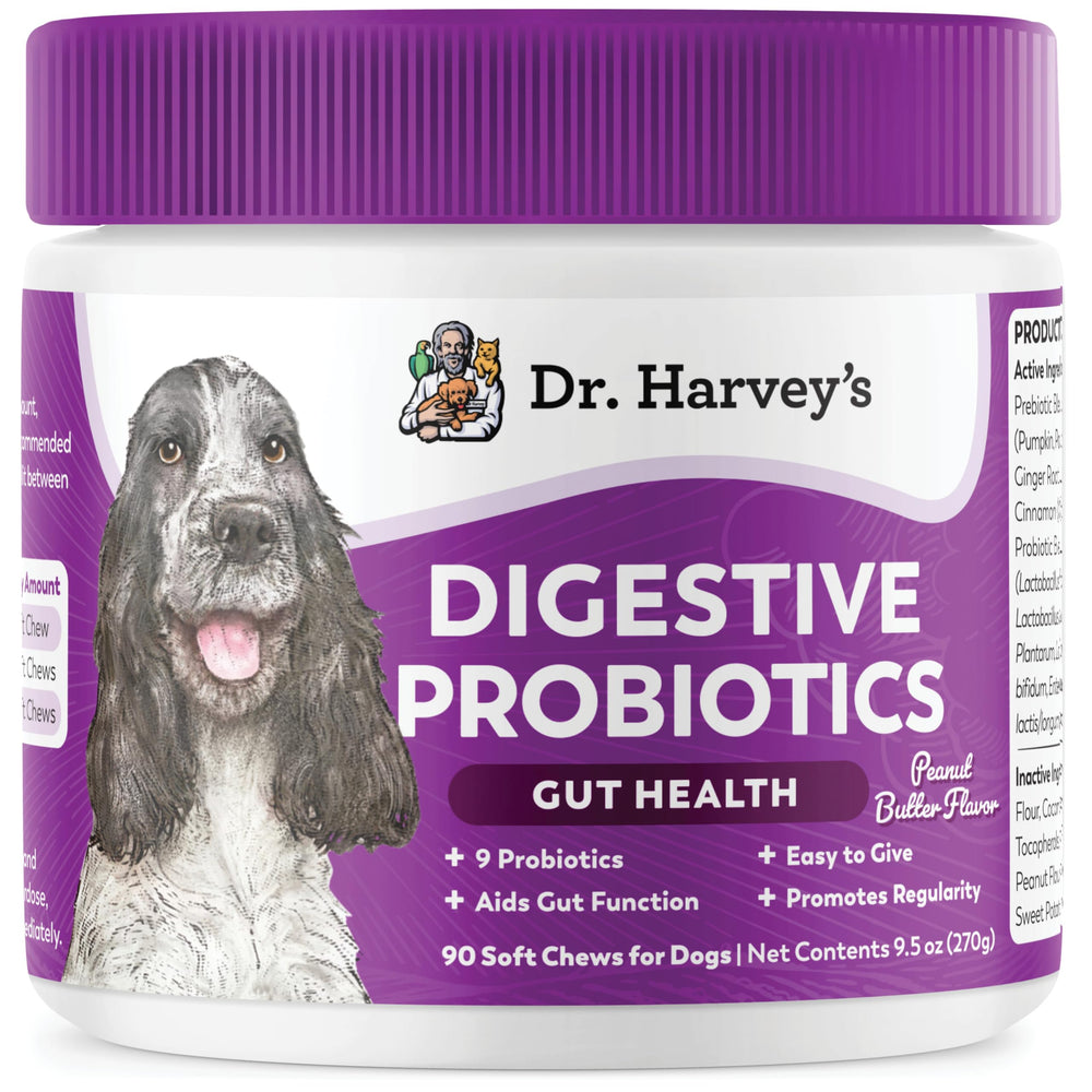 Dr Harvey's Digestive Probiotic Soft Chews dog bottle pour supports gut health
