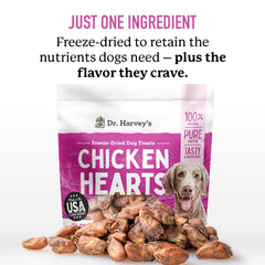 Dr. Harvey's Freeze-Dried Chicken Hearts treats show allergen-free single-ingredient nutrition