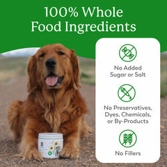 Dr. Harvey's Herbal Multi-Vitamin for dogs being mixed into meals for daily nourishment.