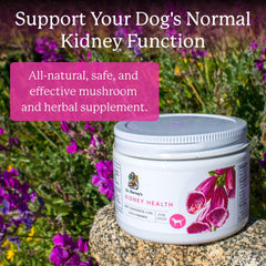 Dr. Harvey's Kidney Health organic Rehmannia Root close-up, traditional kidney support.