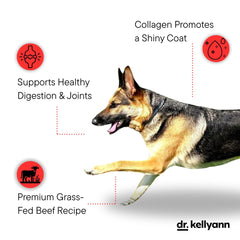 Dr. Kellyann Bone Broth Meal Topper for Dogs close-up shows a shiny coat benefit.