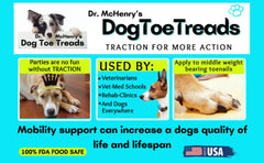 Dr McHenry's Dog Toe Treads applied on nails demonstrates discreet traction.