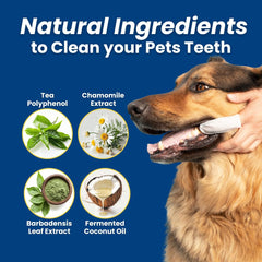 Dr. Paws Choice finger wipe on a dog's muzzle demonstrates simple, disposable dental care.