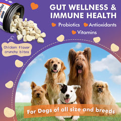 DRFOSTER digestive enzymes dog bites aid nutrient absorption and comfortable digestion.