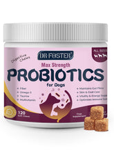 DRFOSTER dog probiotics bottle demonstrates convenient gut-supporting supplement for daily use