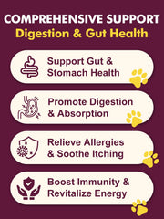 DRFOSTER dog probiotics chews closeup highlights tasty treat aiding digestion