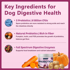 DRFOSTER PROBIOTICS FOR DOGS pumpkin prebiotics highlight gut health benefits