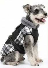 DroolingDog waterproof-nylon-dog-coat keeps your pup dry on rainy walks