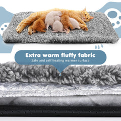 Drydiet pet bed on sofa demonstrates versatile placement for cozy naps.