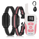 DTCollar two-dog bark collar remote pack worn during backyard training.