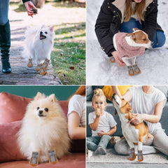 DTYXPET puppy boots adjustable straps reflective for night safety and secure fit.