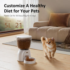 DUDUPET LCD interface enables quick setup and easy scheduling for consistent meals.