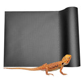 Duedusto Bearded Dragon Tank Mat shows a durable, easy-to-clean surface for tidy enclosures.