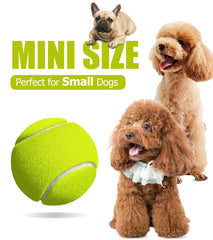 Dukuueie durable dog tennis ball bouncing during play.