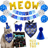 duludulu cat birthday bandana with Birthday Boy for a comfy photo moment