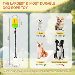 Duocharm suction cup tug toy on smooth surface demonstrates secure grip during play.