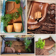 DUOYUZHIYU split-design water dish with right-angle fit for turtle tanks.