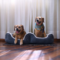 Dupligee bigger double bed unpacks to reveal extra room for pets.