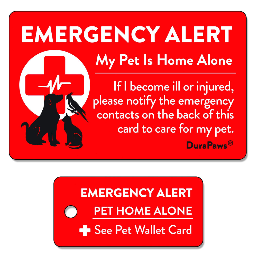 DuraPaws emergency alert card in wallet enables quick responder contact for pets