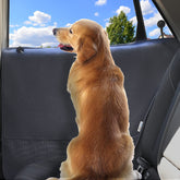 Durapower dog car door protector packaging shows a ready-to-use guard for mess-free trips.
