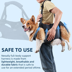 Duuclume Dog Lift Harness adjustable straps ensure secure lifting.
