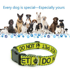 DWOOFG dog collar high-quality durable webbing for everyday adventures.