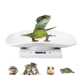 DWSFADA digital pet scale front view demonstrates compact, accurate pet weighing for small animals.