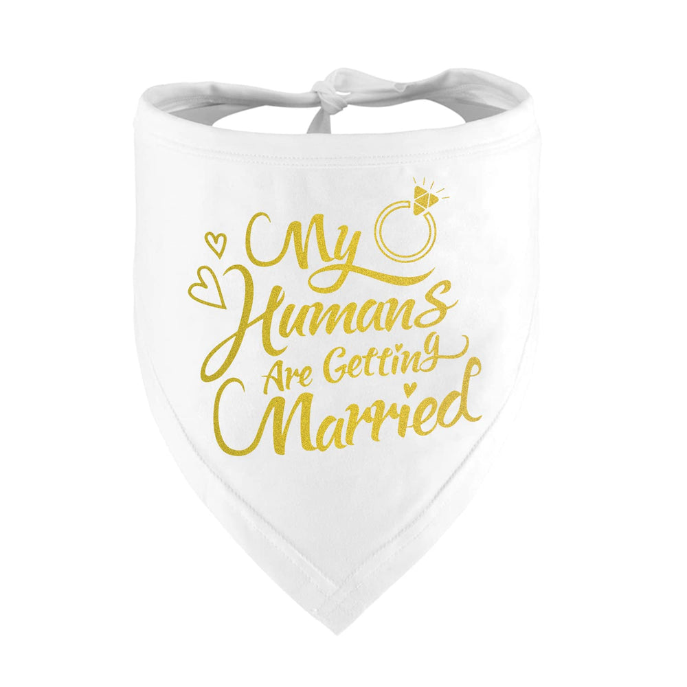 Dzmodz engagement bandana in gold for wedding photo props and pet style.