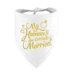 Dzmodz engagement bandana in gold for wedding photo props and pet style.
