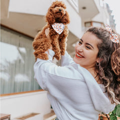 E-Clover scrunchie bow tie demonstrates a fashionable matching accessory for your pet.
