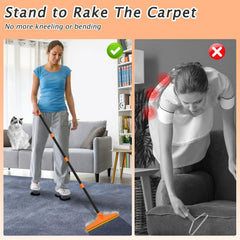 Eaersan pet hair removal on rugs and carpets for dogs and cats