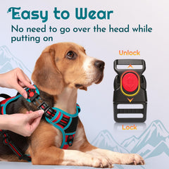 Eagloo dog harness front view shows front ring control
