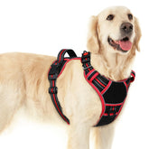 Eagloo large dog harness shows three-buckle opening for easy on/off