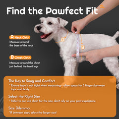 Eagloo harness and leash combo showing 5.1ft leash for relaxed walks.