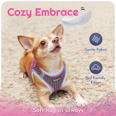 Eagloo reflective strap harness enhances safe night walks with bright visibility.