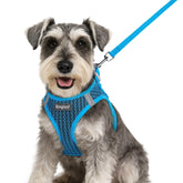 Eagloo small dog harness blue step-in enables quick on/off during daily walks.