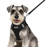 Eagloo small dog harness with breathable mesh for daily comfort.