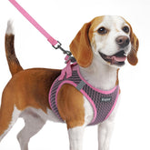Eagloo small-dog-harness-mesh-pink shows breathable mesh for comfortable daily walks.