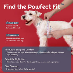 Eagloo small dog leash 5.1ft anti-tangle clip for smooth, comfortable walks.