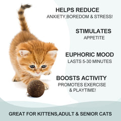 Eaireys catnip ball set top view demonstrates interactive fun and exercise potential
