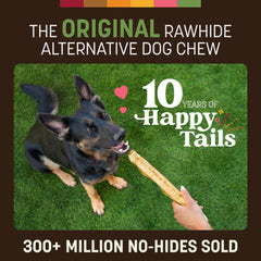 Earth Animal No Hide Chews Rolls two-pack shown for larger dogs.