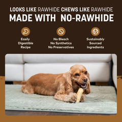 Earth Animal No Hide Chews small dog enjoying chew during playtime.