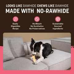 Earth Animal No Hide Strips salmon four-piece pack shown as convenient treats for dogs.