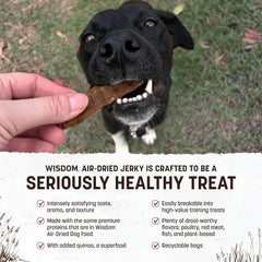 Earth Animal Wisdom Jerky Turkey ingredients close-up shows GAP turkey and quinoa for protein variety.