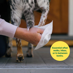 Earth Rated Pet Wipes butt cleaning to stay fresh between baths.